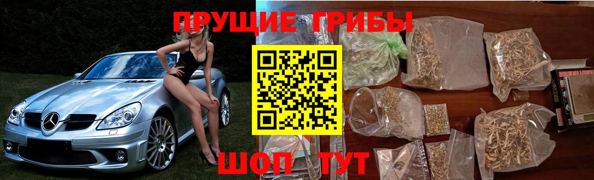 Псилоцибиновые грибы Cubensis Бийск