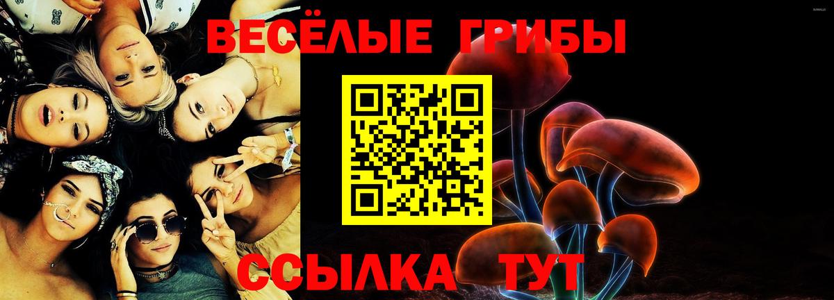 Бийск  Галлюциногенные грибы Magic Shrooms  Вход с VPN 
